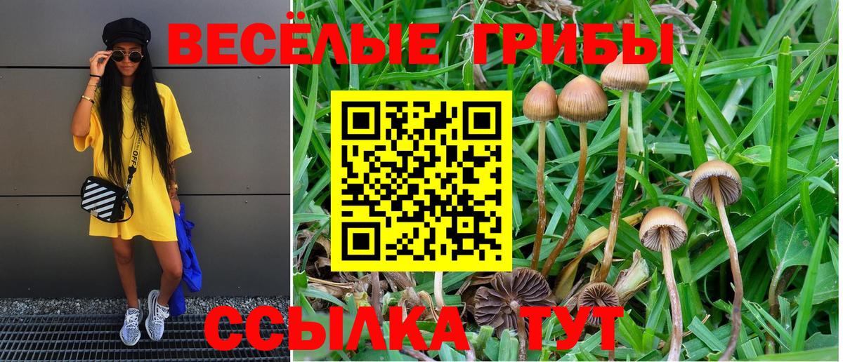Волгоград  Псилоцибиновые грибы Cubensis  Вход с VPN  Галлюциногенные грибы Cubensis 