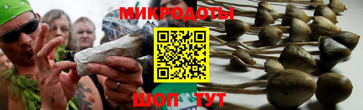 Псилоцибиновые грибы мицелий Волгоград